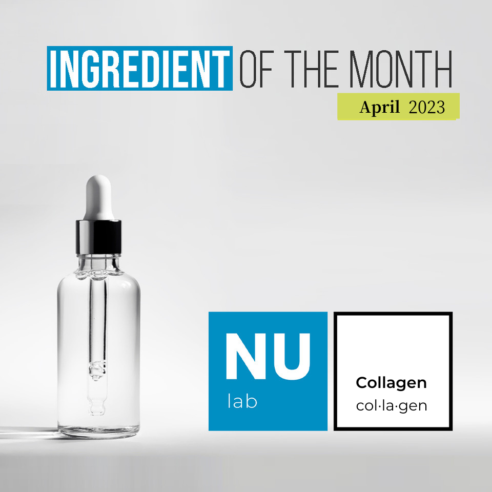 April Edition | NUVIOR Canada Ingredient of the month | Collagen